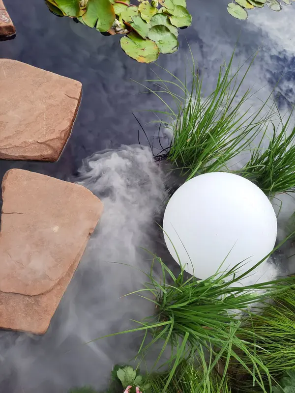 Выставочный сад на фестивале в Царицыне "Видение розы"