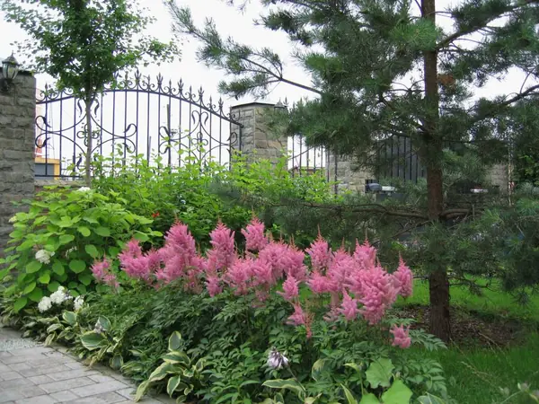 Озеленение небольшого участка