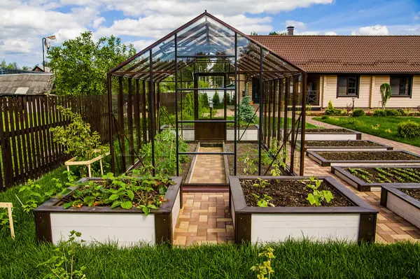 Невская дубровка