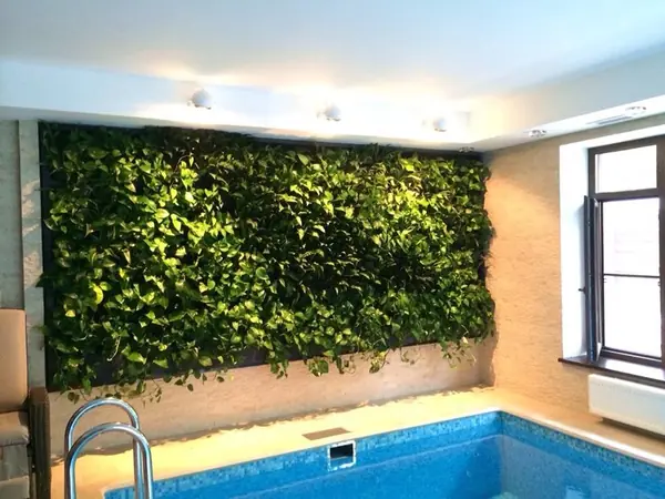 Домашний бассейн