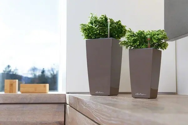 Раскройте свои планы