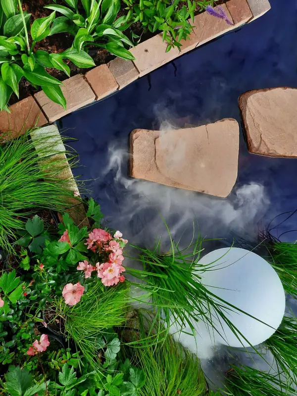 Выставочный сад на фестивале в Царицыне "Видение розы"