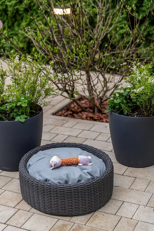 "На Дачу" к Татьяне Веденеевой