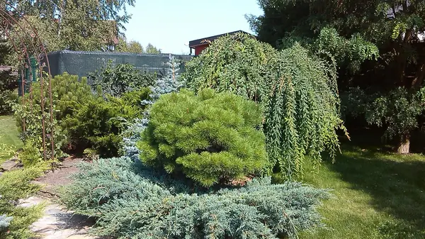 Уголок где хочется жить