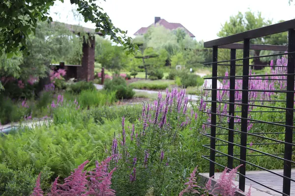 WB Берег пруда (май,июнь)