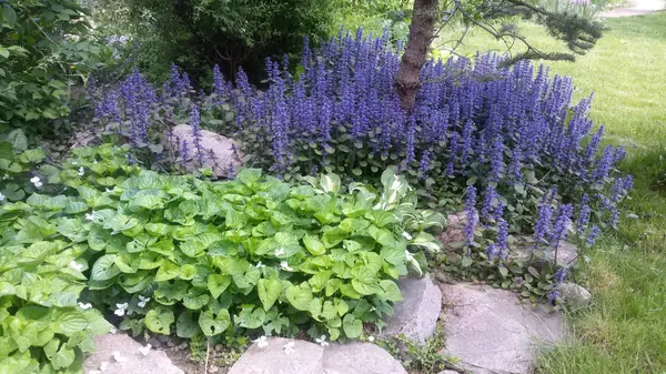 Усадебный семейный сад