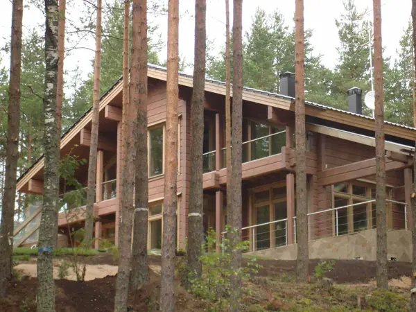 Коттеджный поселок (совместно с Honka)