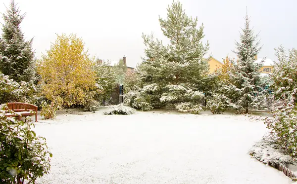 Новые Вешки