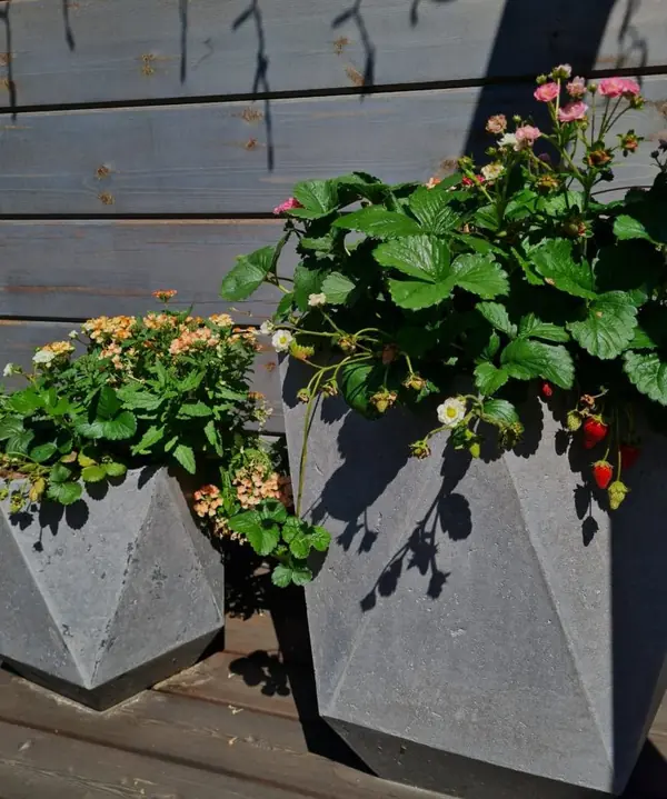 Ландшафтный дизайн Красноярск