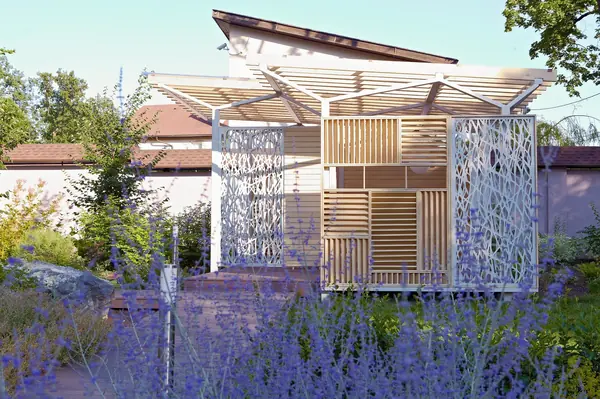 Прогулка в дубах