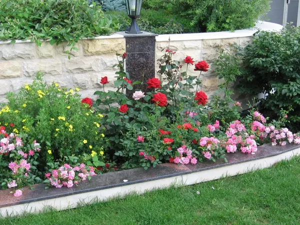 Участок в Парголово