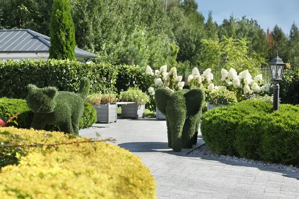 Ангелово. Ландшафтный дизайн..