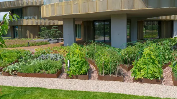 Природный сад. Жуковка XXI век. 2017-2018 гг.