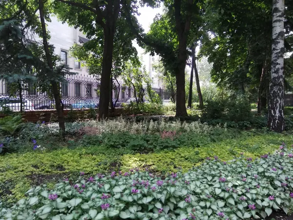 Сад на Гранатном переулке