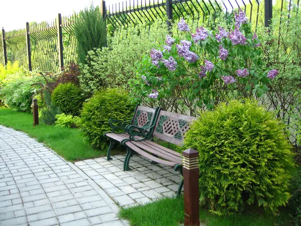 Озеленение небольшого участка