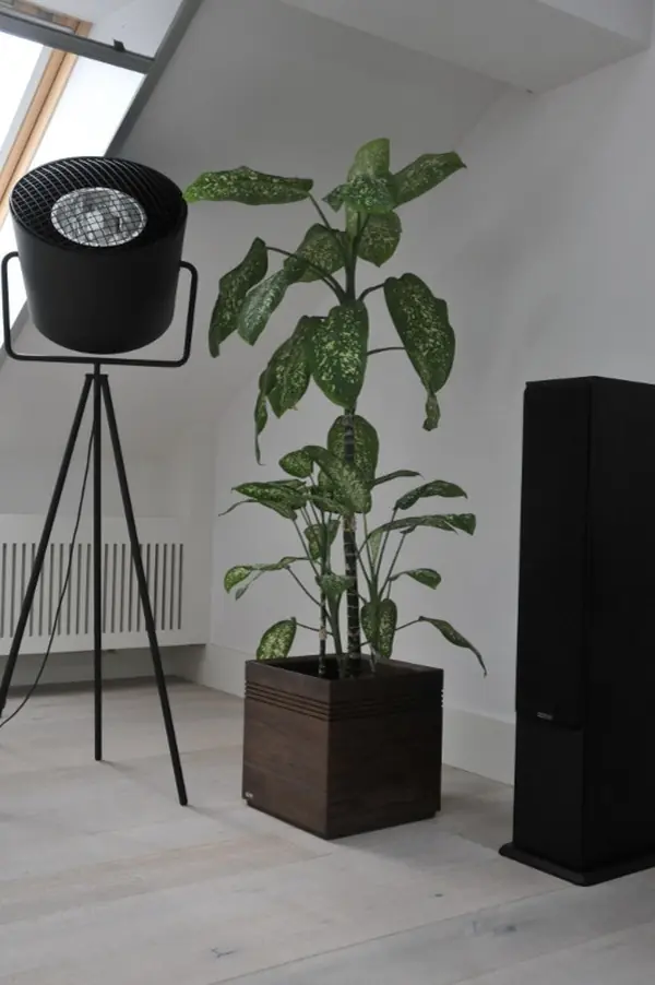 Wood panters in moden Moscow house