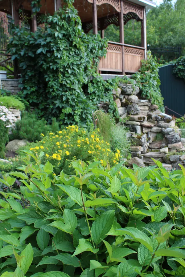 Сад пяти комнат