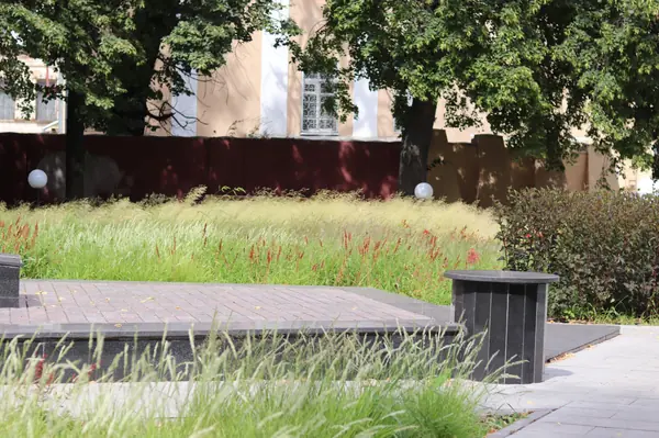 Цветник у памятника А.П.Платонову