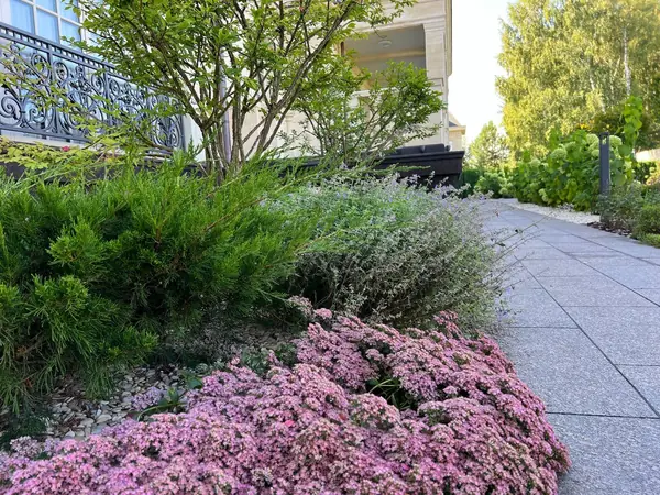 Классика вне времени