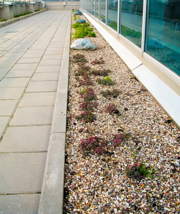 Москва-Сити, Северная башня, 2010 г.