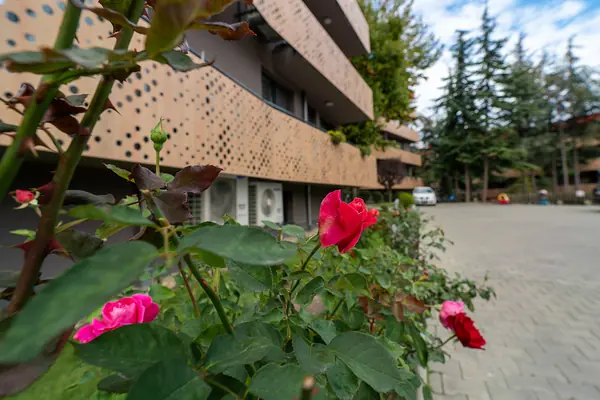 Акварель-3, Бриз, Варна