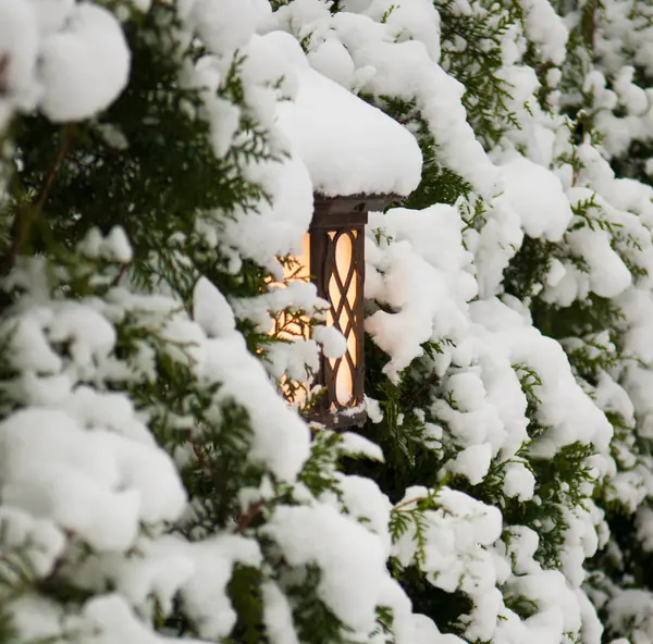 От знакомства до последнего цветника 6 месяцев