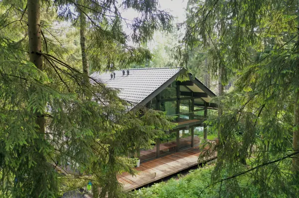 Дом по проекту Альпы 280м² с панорамным остеклением и вторым светом