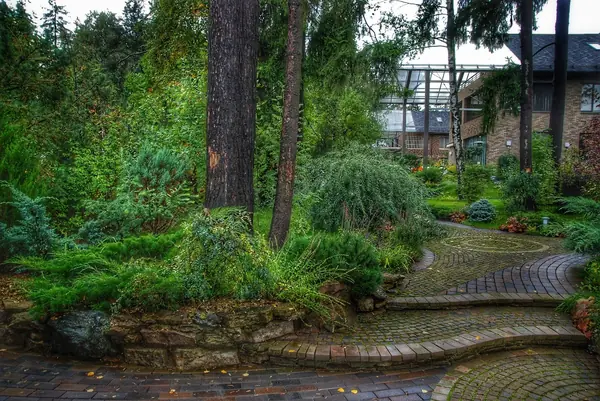 и на камнях растут цветы