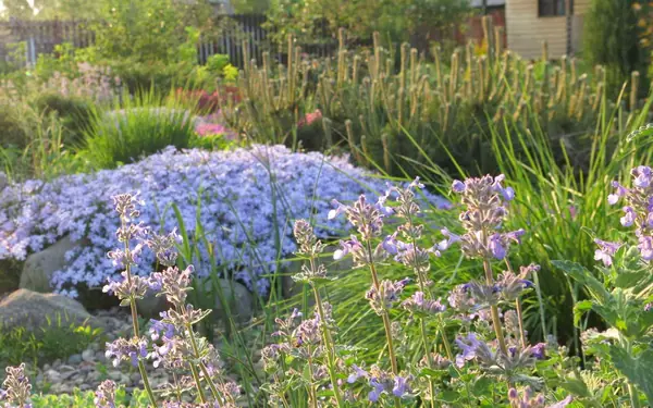 ТЕПЛЫШКО МОЕ. ВЕСНА.