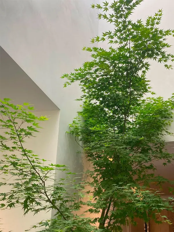 Матовое покрытие из декоративной штукатурки в белом цвете