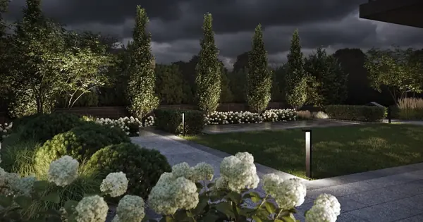 Летово Парк