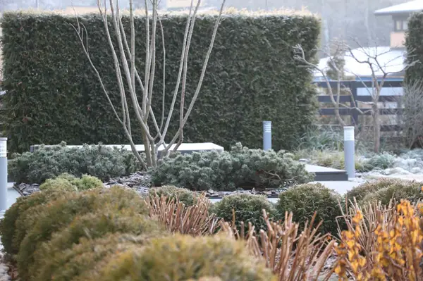 Светлогорье