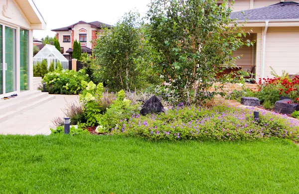 Павлово-2, 2022-2024 г.г.