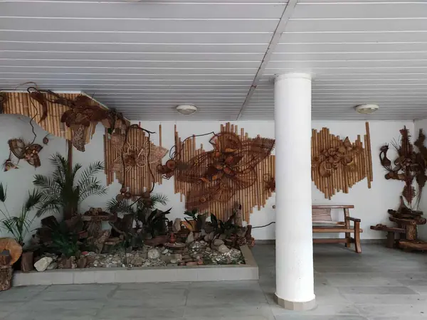 Дендрарий г. Сочи