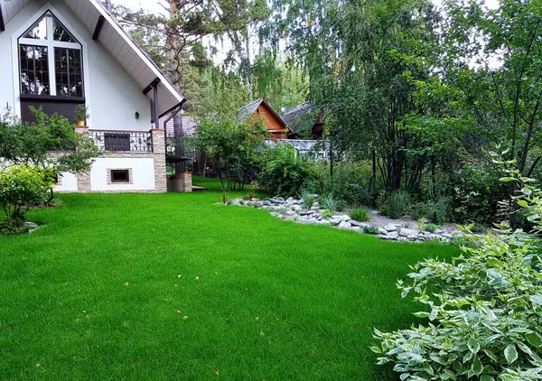 Рулонный газон Красноярск