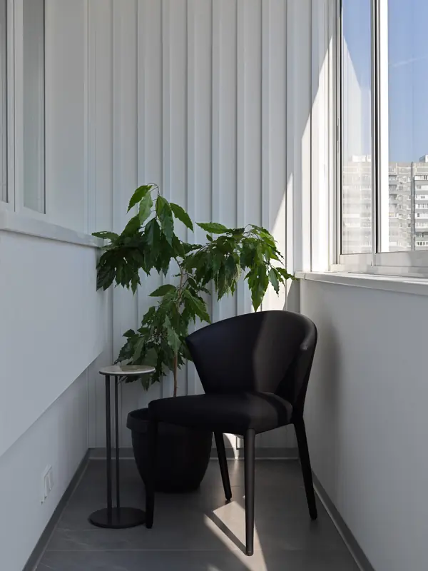 Проект Лебедь