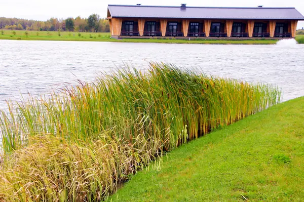 Харламово, 2010-2012 гг.