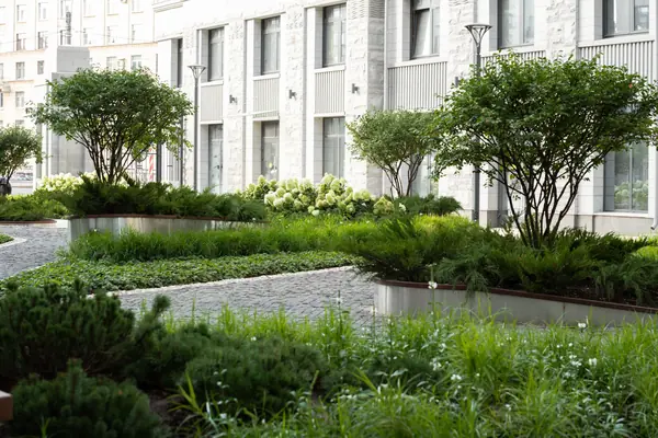 Северная корона