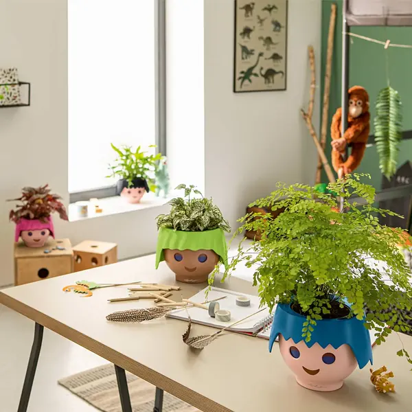 Растения для детской