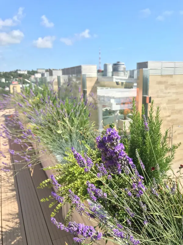 Пентхаус в Сочи