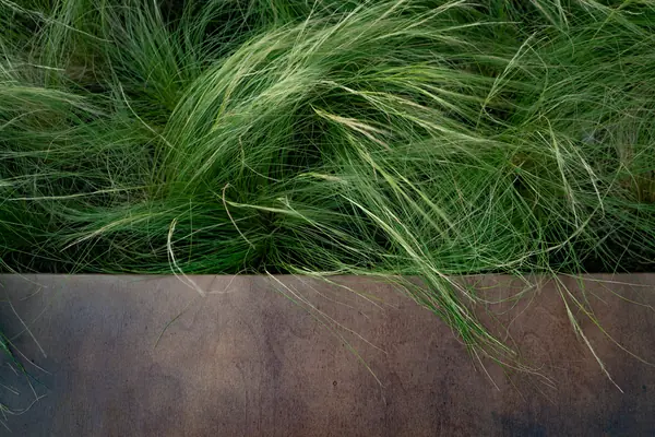 Архитектура природы