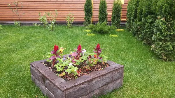 Частный участок пос.Правда