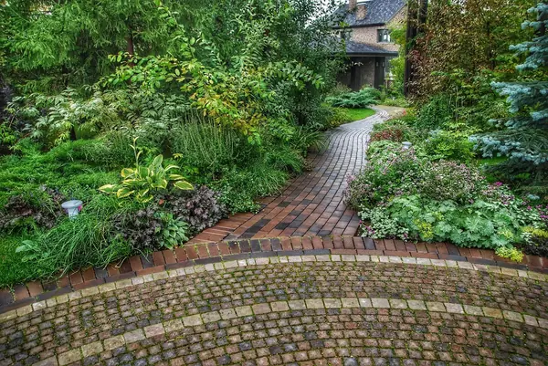 и на камнях растут цветы