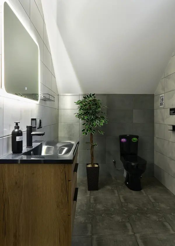 Съемка дома для отдыха. Крокусы. Санкт-Петербург