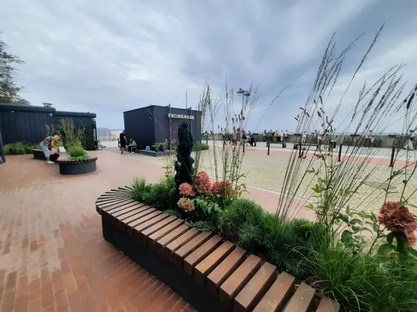 Озеленение территории возле Бювета в Светлогорске