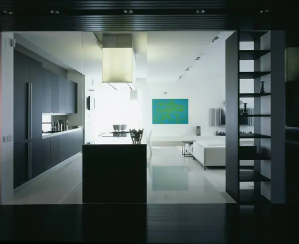 Interior of the flat in Vorobevu goru