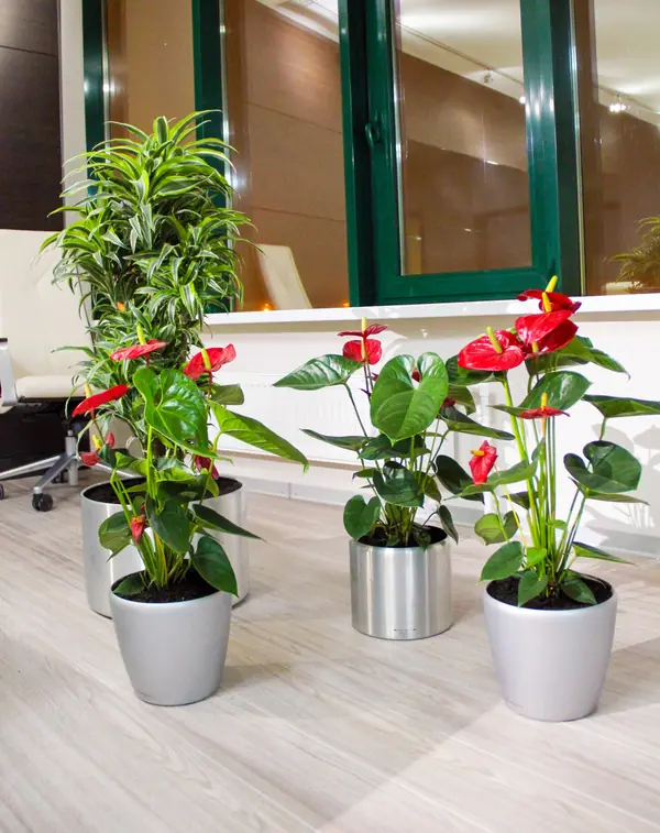 Калуга, Сбербанк, 2010 г.