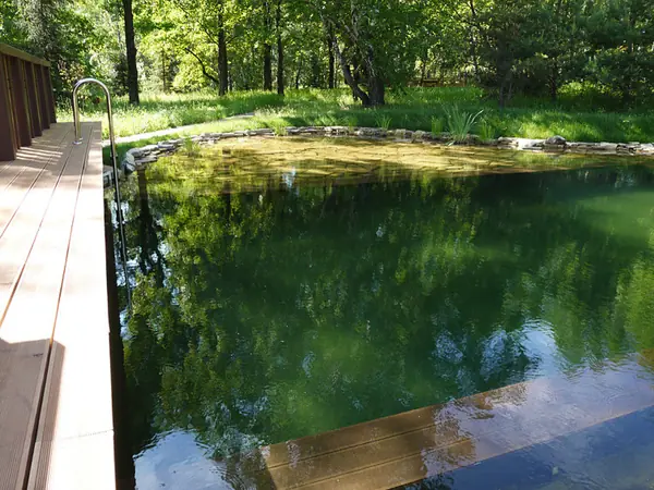 Примеры работ