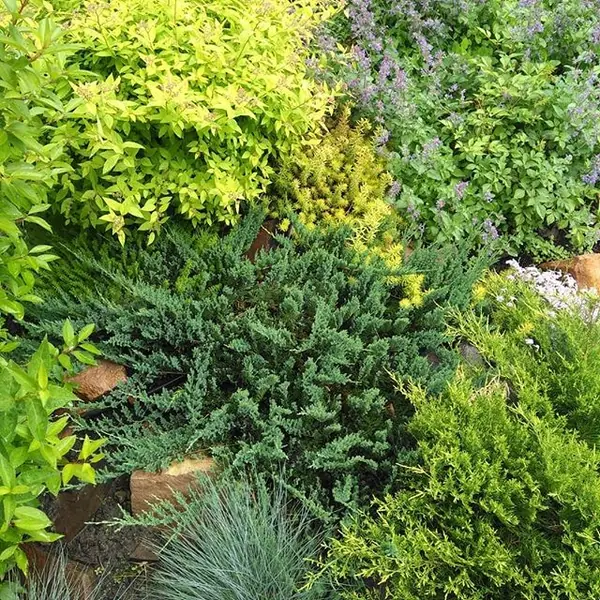 Дизайн маленького участка