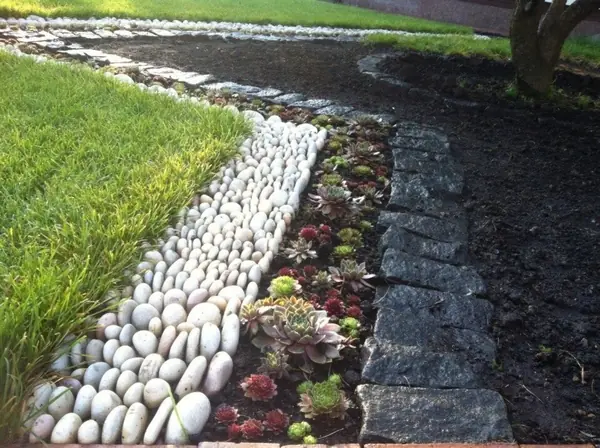 Circles on the ground